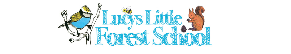 lucyslittleforestschool